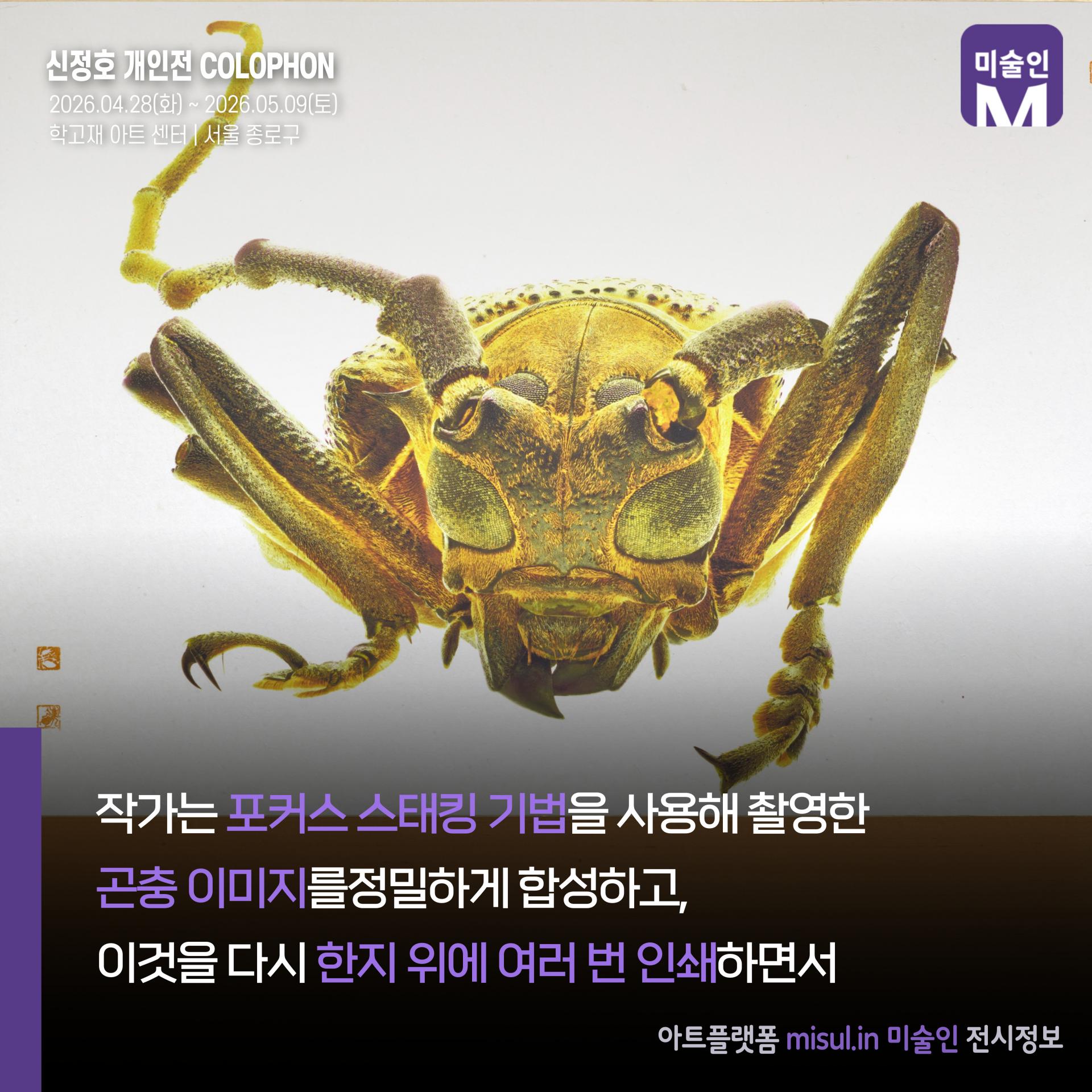 515a25d01bb7f.jpg