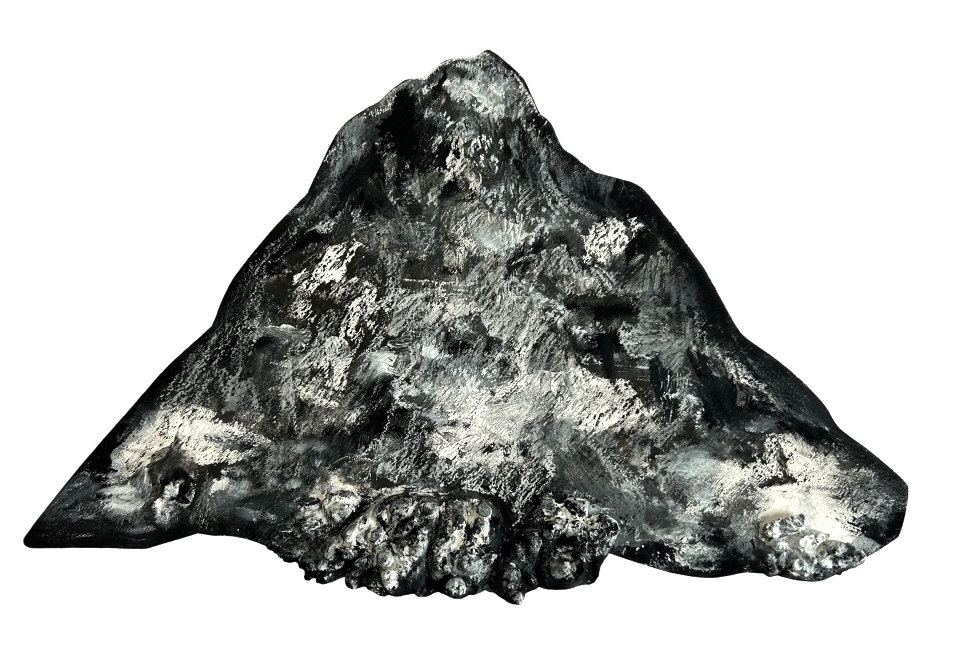 9c65d9e72e384.jpg