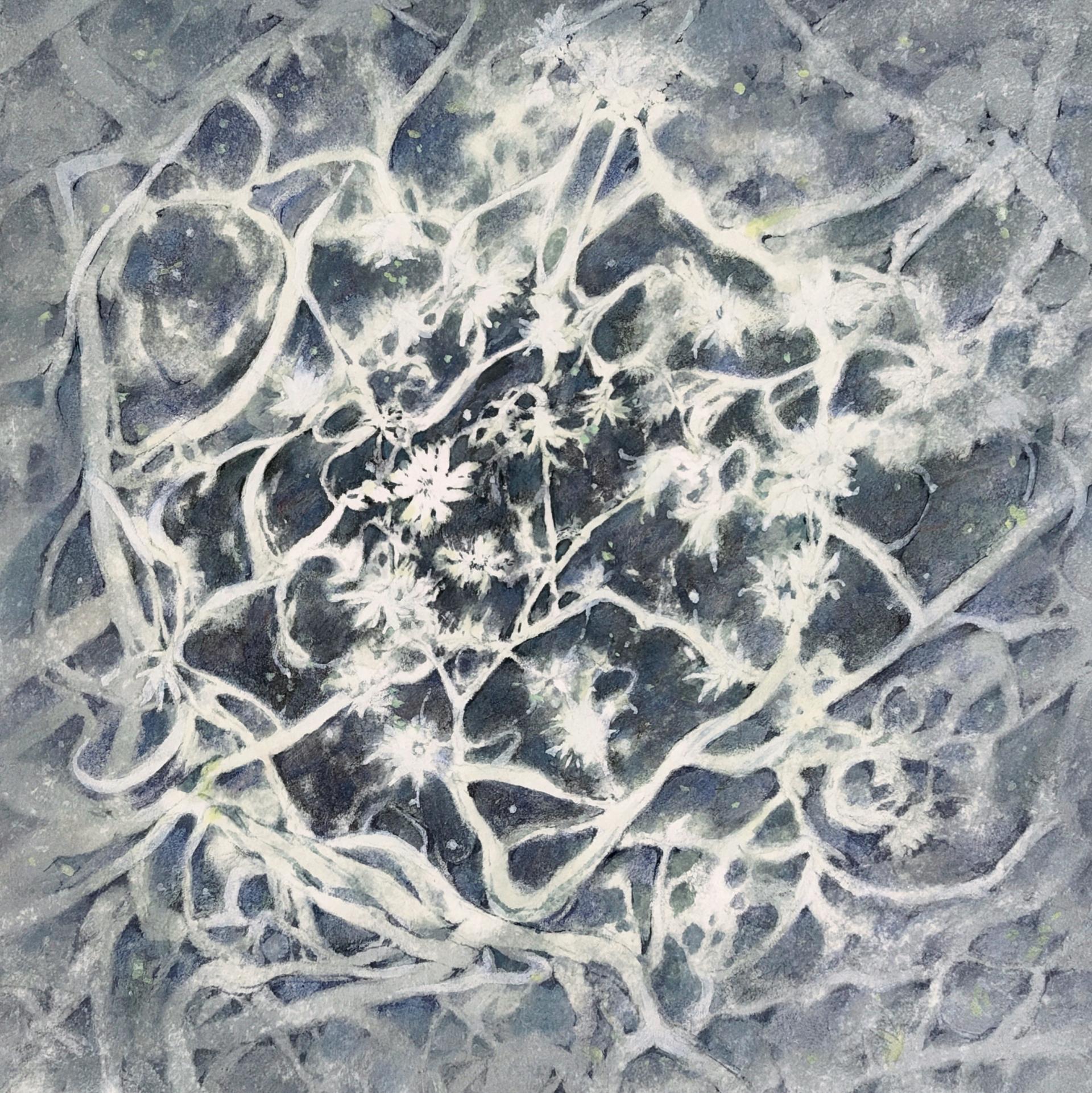 김가인 <사라지지 않는 이별 *> 장지에 안채, 색연필, 15x15(cm), 2026