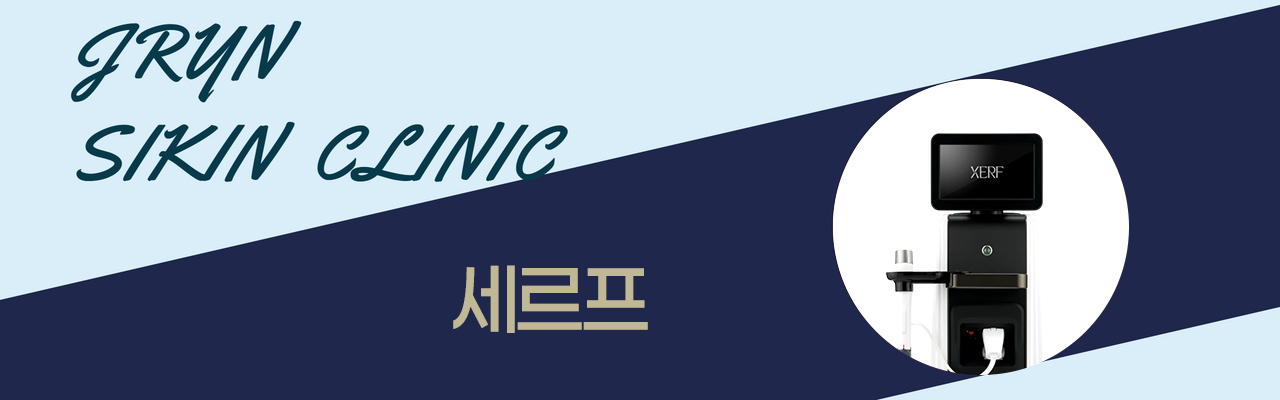 세르프.jpg