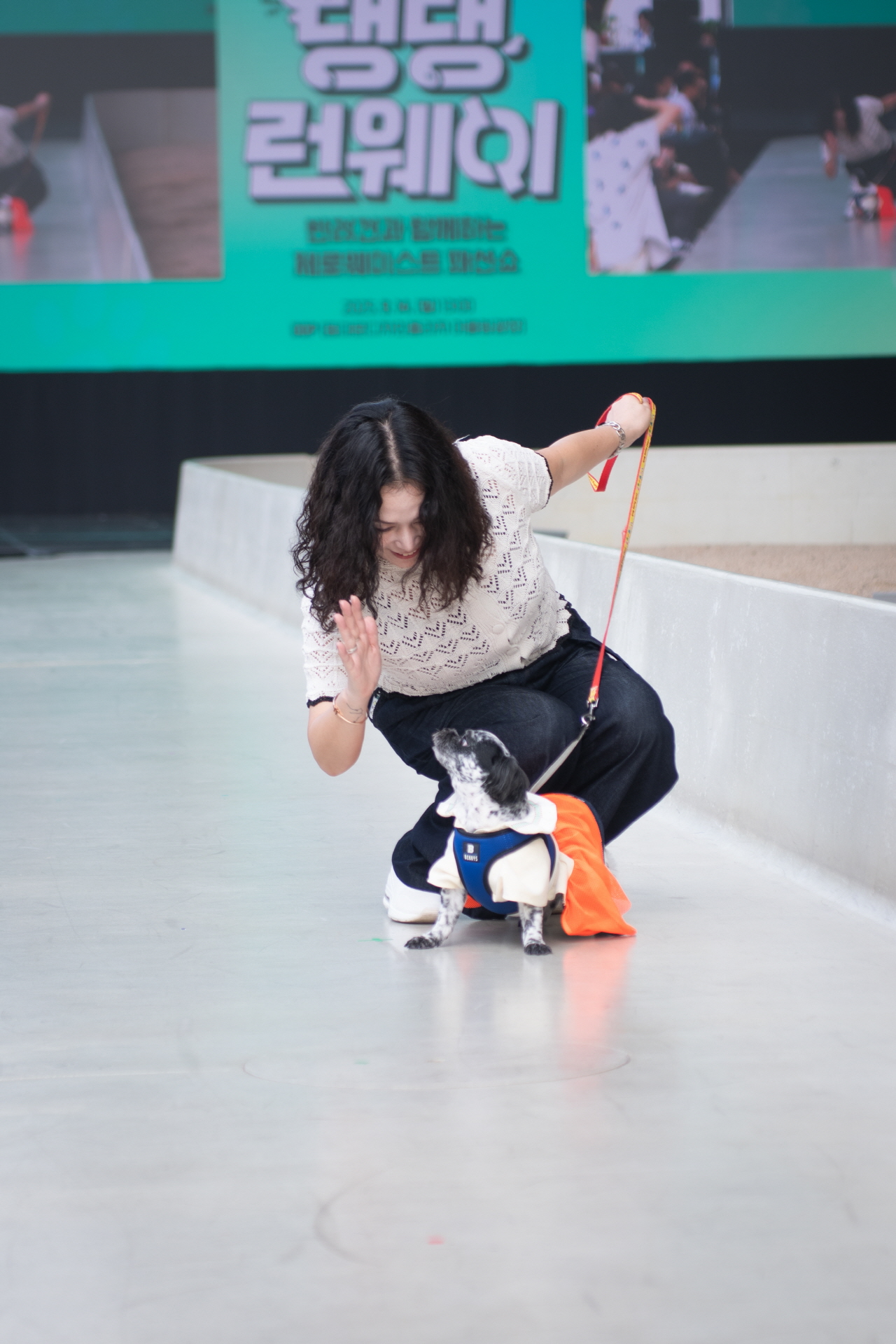 073bff2106dd2.jpg