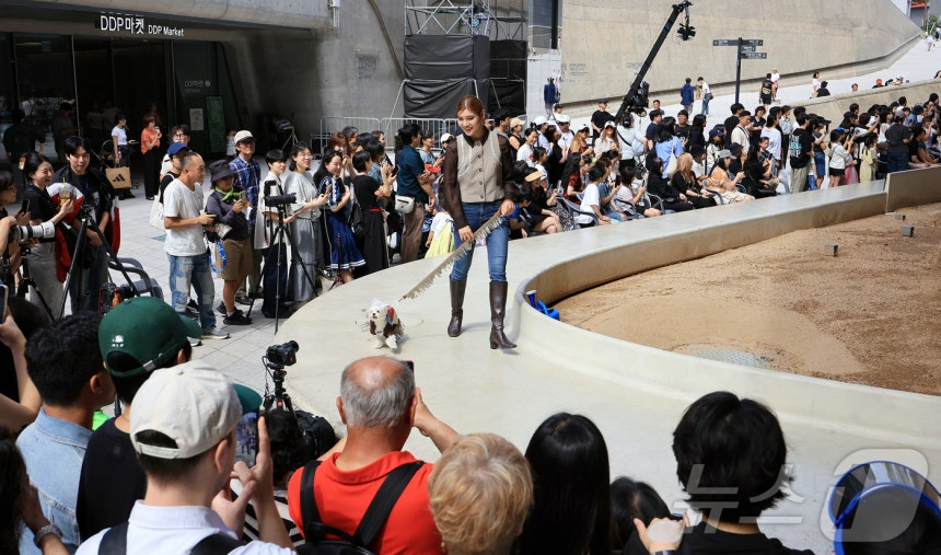 14일 서울 중구 동대문디자인플라자(DDP)에서 열린 반려견과 함께하는 제로웨이스트 패션쇼 '댕댕 런웨이’에 참가한 모델들과 반려견들이 무대 위로 워킹하고 있다. 2025.9.14/뉴스1 ⓒ News1 김진환 기자