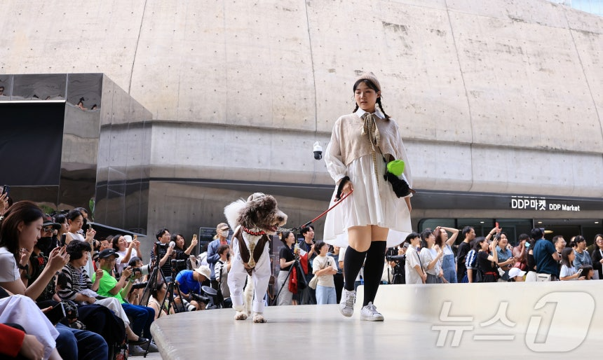 14일 서울 중구 동대문디자인플라자(DDP)에서 열린 반려견과 함께하는 제로웨이스트 패션쇼 '댕댕 런웨이’에 참가한 모델들과 반려견들이 무대 위로 워킹하고 있다. 2025.9.14/뉴스1 ⓒ News1 김진환 기자