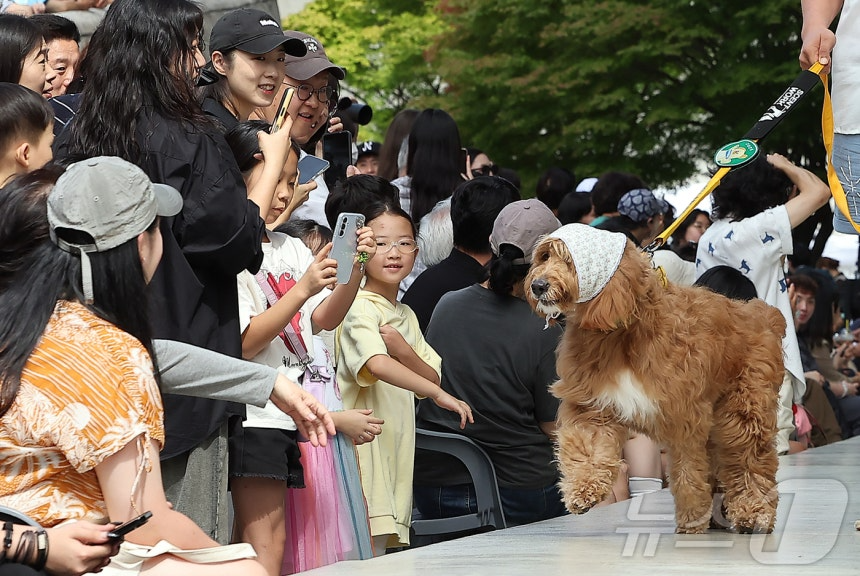 14일 서울 중구 동대문디자인플라자(DDP)에서 열린 반려견과 함께하는 제로웨이스트 패션쇼 '댕댕 런웨이’에서 관람객들이 모델들과 반려견들의 워킹을 보며 미소를 짓고 있다. 2025.9.14/뉴스1 ⓒ News1 김