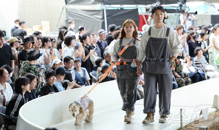14일 서울 중구 동대문디자인플라자(DDP)에서 열린 반려견과 함께하는 제로웨이스트 패션쇼 '댕댕 런웨이’에 참가한 모델들과 반려견들이 무대 위로 워킹하고 있다. 2025.9.14/뉴스1 ⓒ News1 김진환 기자