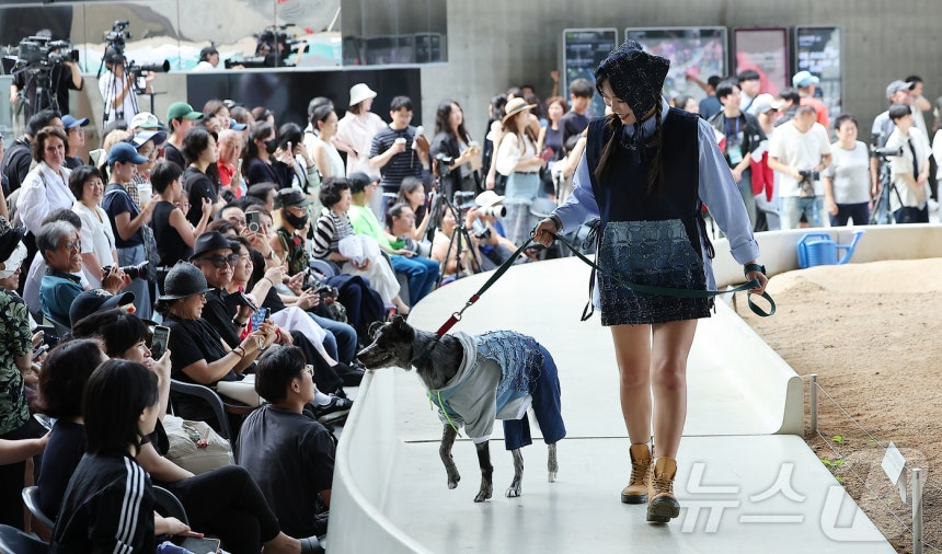 14일 서울 중구 동대문디자인플라자(DDP)에서 열린 반려견과 함께하는 제로웨이스트 패션쇼 '댕댕 런웨이’에 참가한 모델들과 반려견들이 무대 위로 워킹하고 있다. 2025.9.14/뉴스1 ⓒ News1 김진환 기자