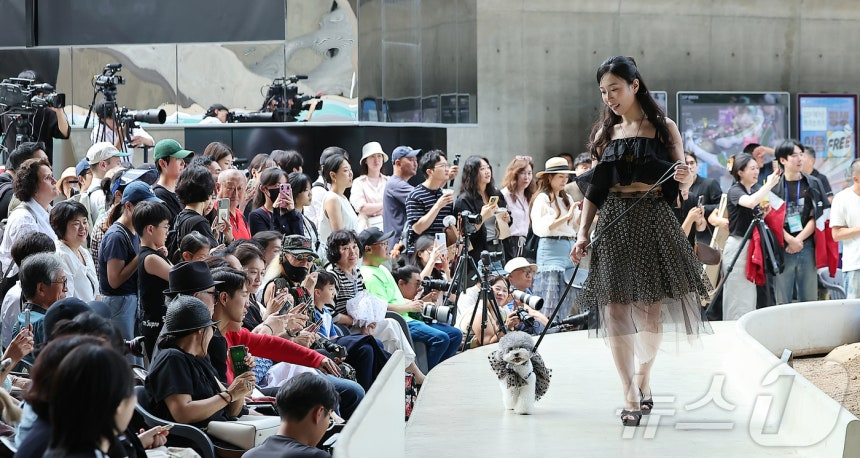 14일 서울 중구 동대문디자인플라자(DDP)에서 열린 반려견과 함께하는 제로웨이스트 패션쇼 '댕댕 런웨이’에 참가한 모델들과 반려견들이 무대 위로 워킹하고 있다. 2025.9.14/뉴스1 ⓒ News1 김진환 기자