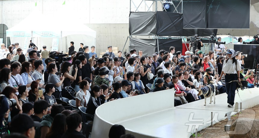 14일 서울 중구 동대문디자인플라자(DDP)에서 열린 반려견과 함께하는 제로웨이스트 패션쇼 '댕댕 런웨이’에 참가한 모델들과 반려견들이 무대 위로 워킹하고 있다. 2025.9.14/뉴스1 ⓒ News1 김진환 기자