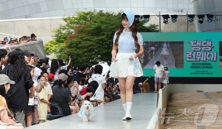 14일 서울 중구 동대문디자인플라자(DDP)에서 열린 반려견과 함께하는 제로웨이스트 패션쇼 '댕댕 런웨이’에 참가한 모델들과 반려견들이 무대 위로 워킹하고 있다. 2025.9.14/뉴스1 ⓒ News1 김진환 기자