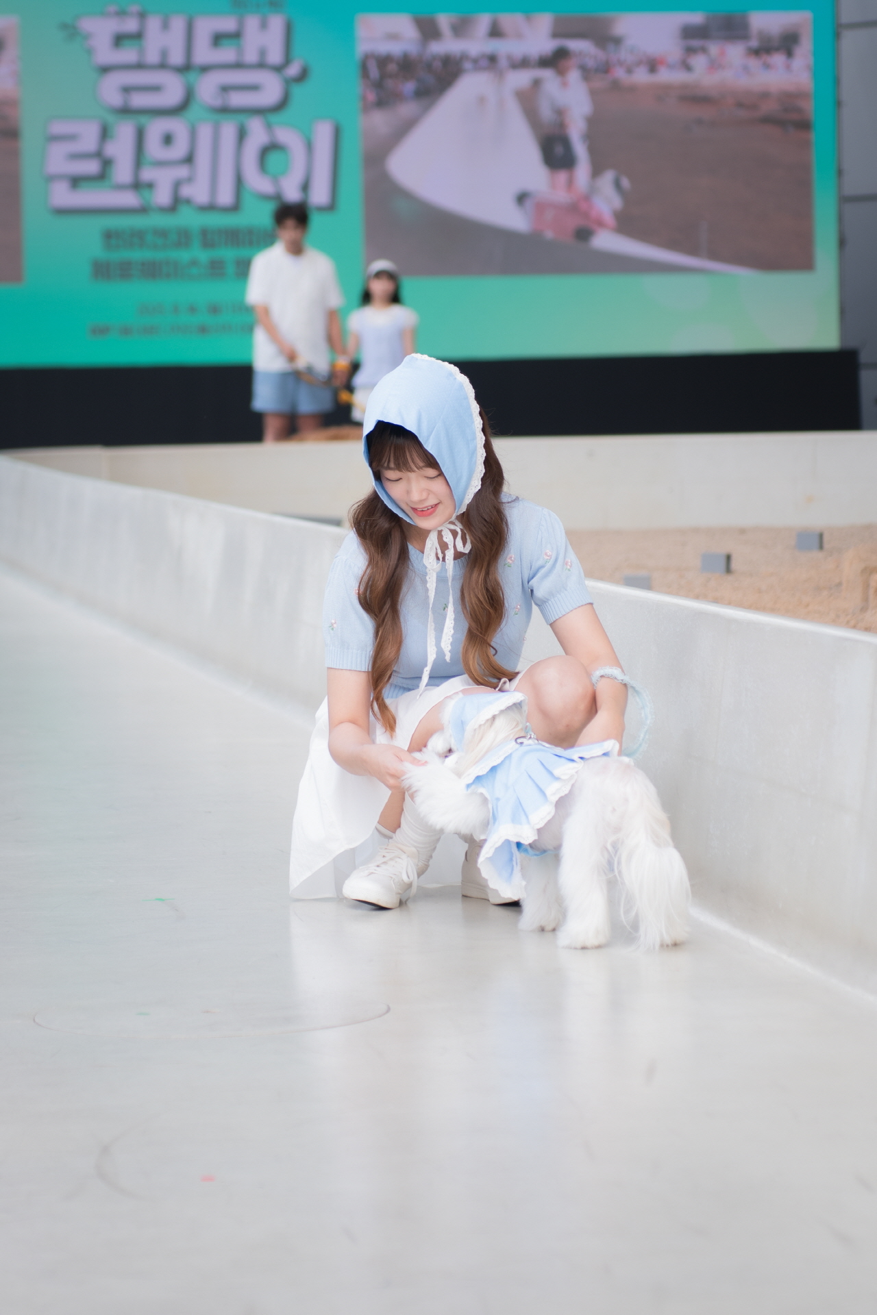 c505517e18c38.jpg