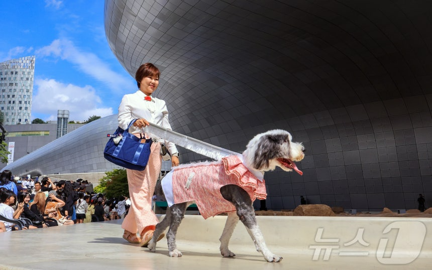 14일 서울 중구 동대문디자인플라자(DDP)에서 열린 반려견과 함께하는 제로웨이스트 패션쇼 '댕댕 런웨이’에 참가한 모델들과 반려견들이 무대 위로 워킹하고 있다. 2025.9.14/뉴스1 ⓒ News1 김진환 기자