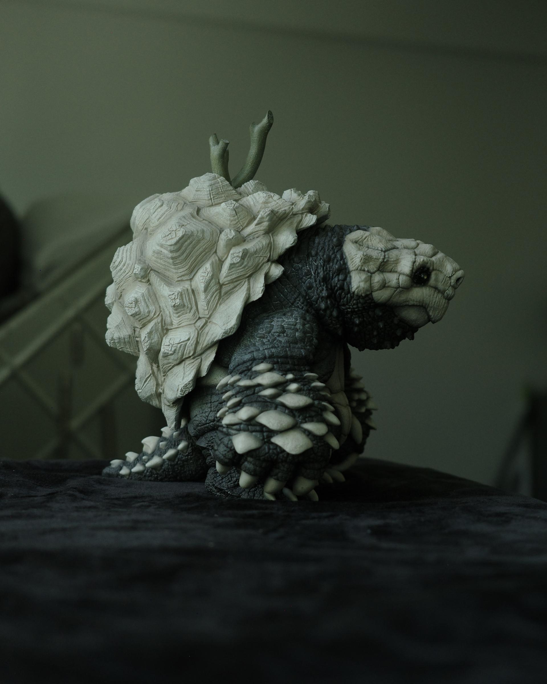 Temminckii x 龜甲龍 & BIRCH 50%