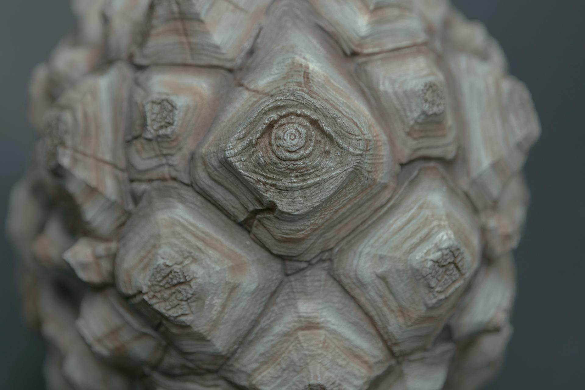 d20985e414e04.jpg