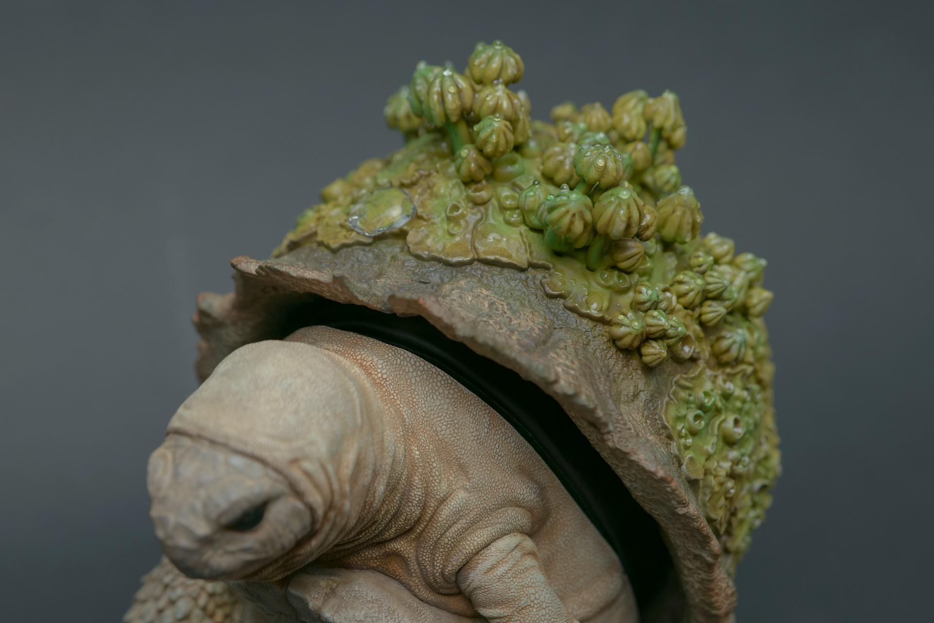 e35f731ab4929.jpg