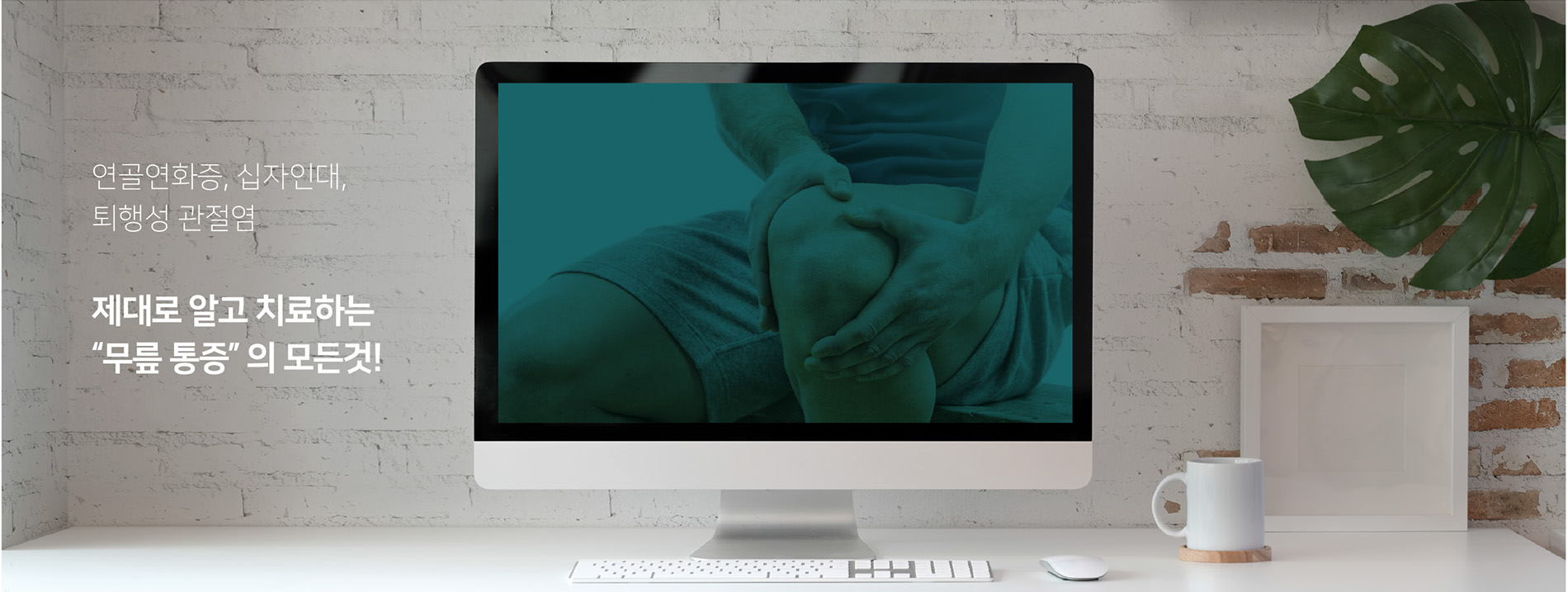 연골연화증, 십자인대와 퇴행성 관절염을 소개하는 무릎통증 안내 영상 썸네일
