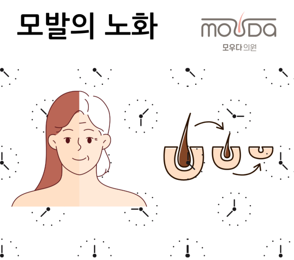 cc11403d65840.png