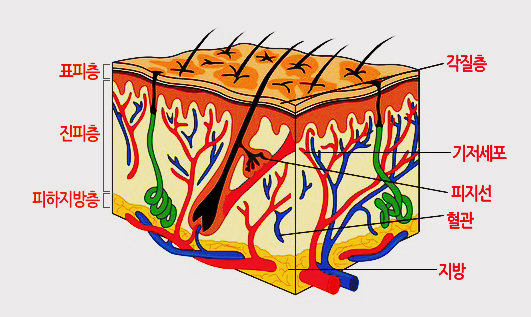 f2bc3539b5717.png