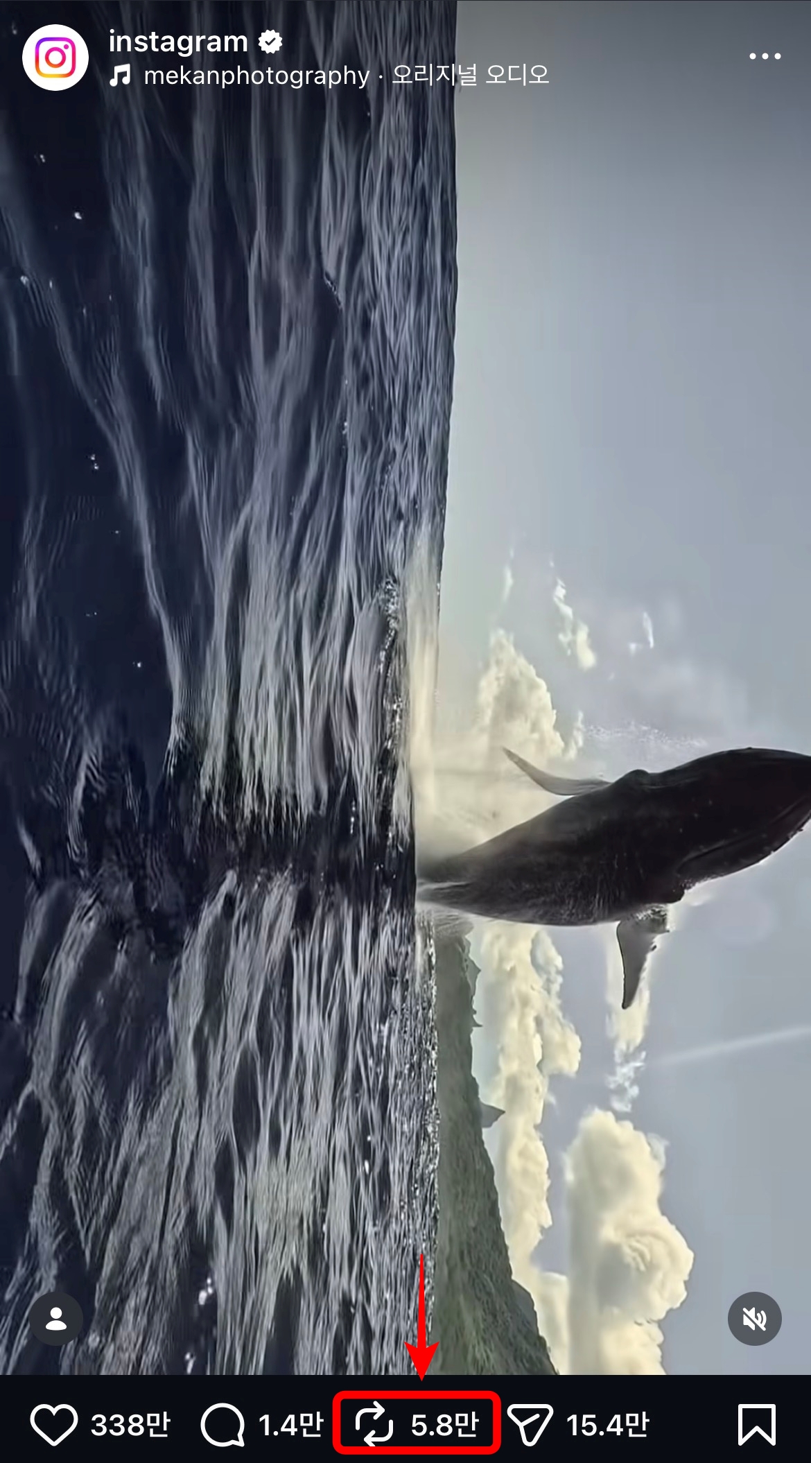 리포스트 예시 1