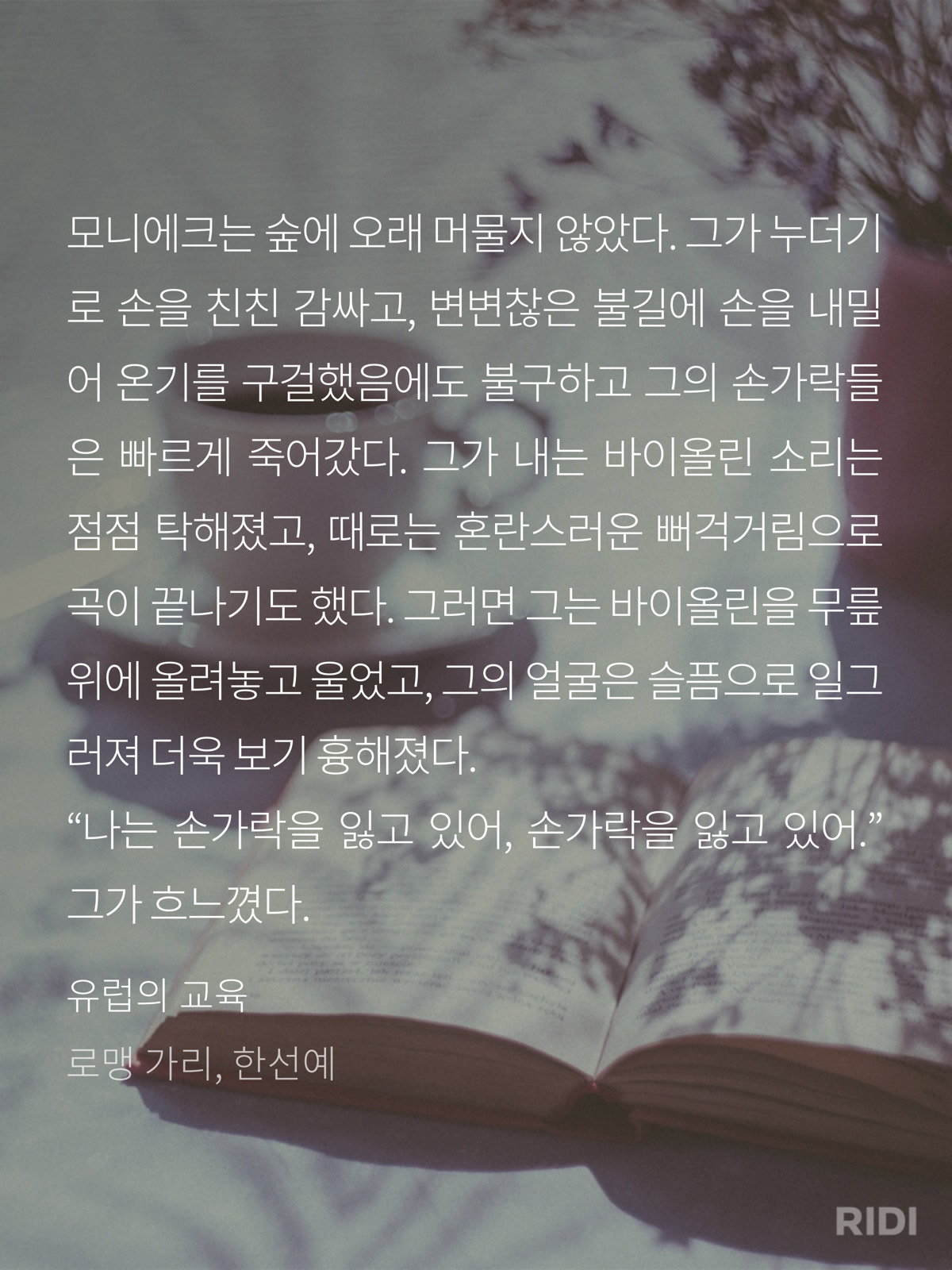 1cbcfb33324fb.png