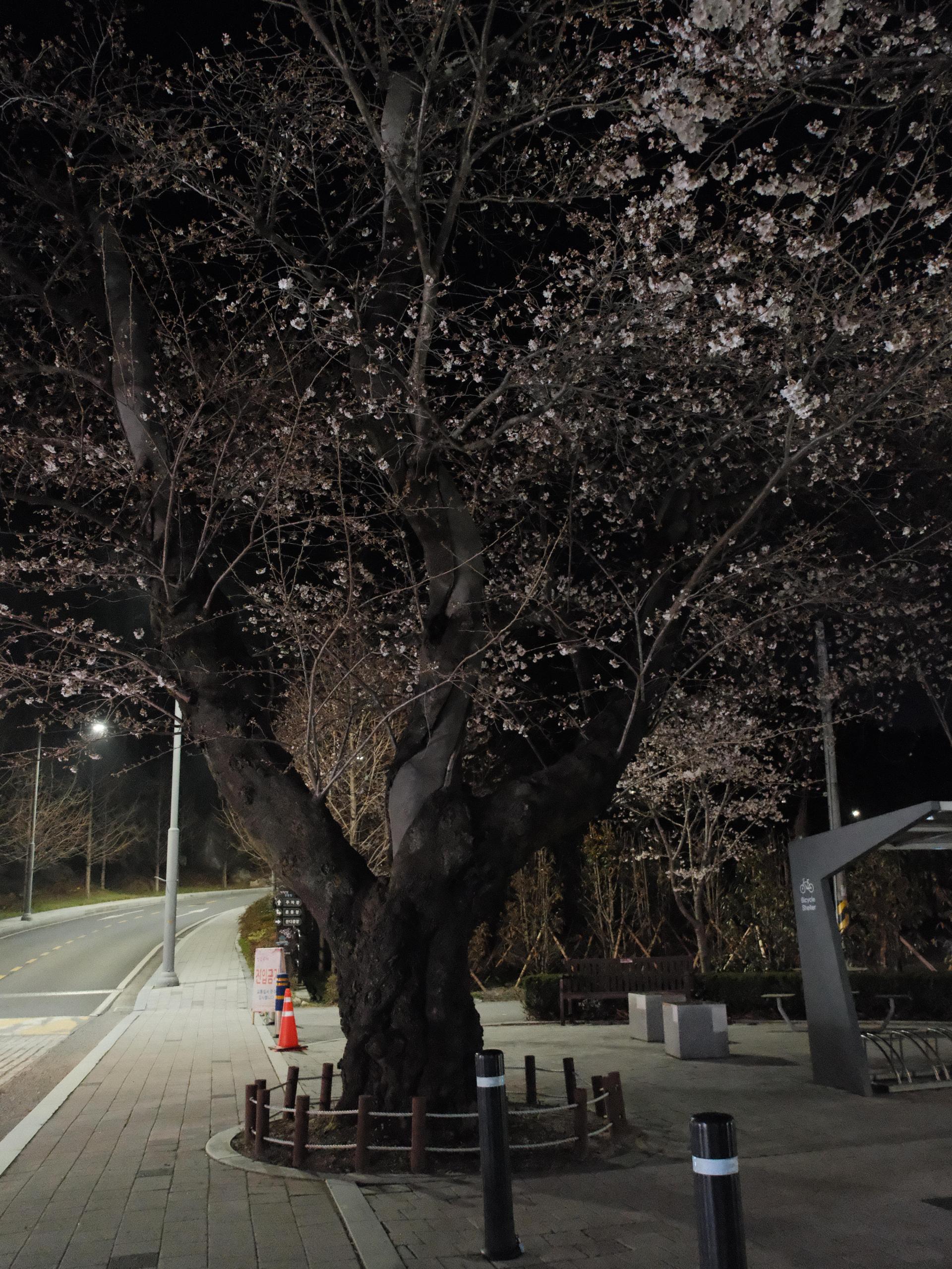 bd4f9f8446550.jpg