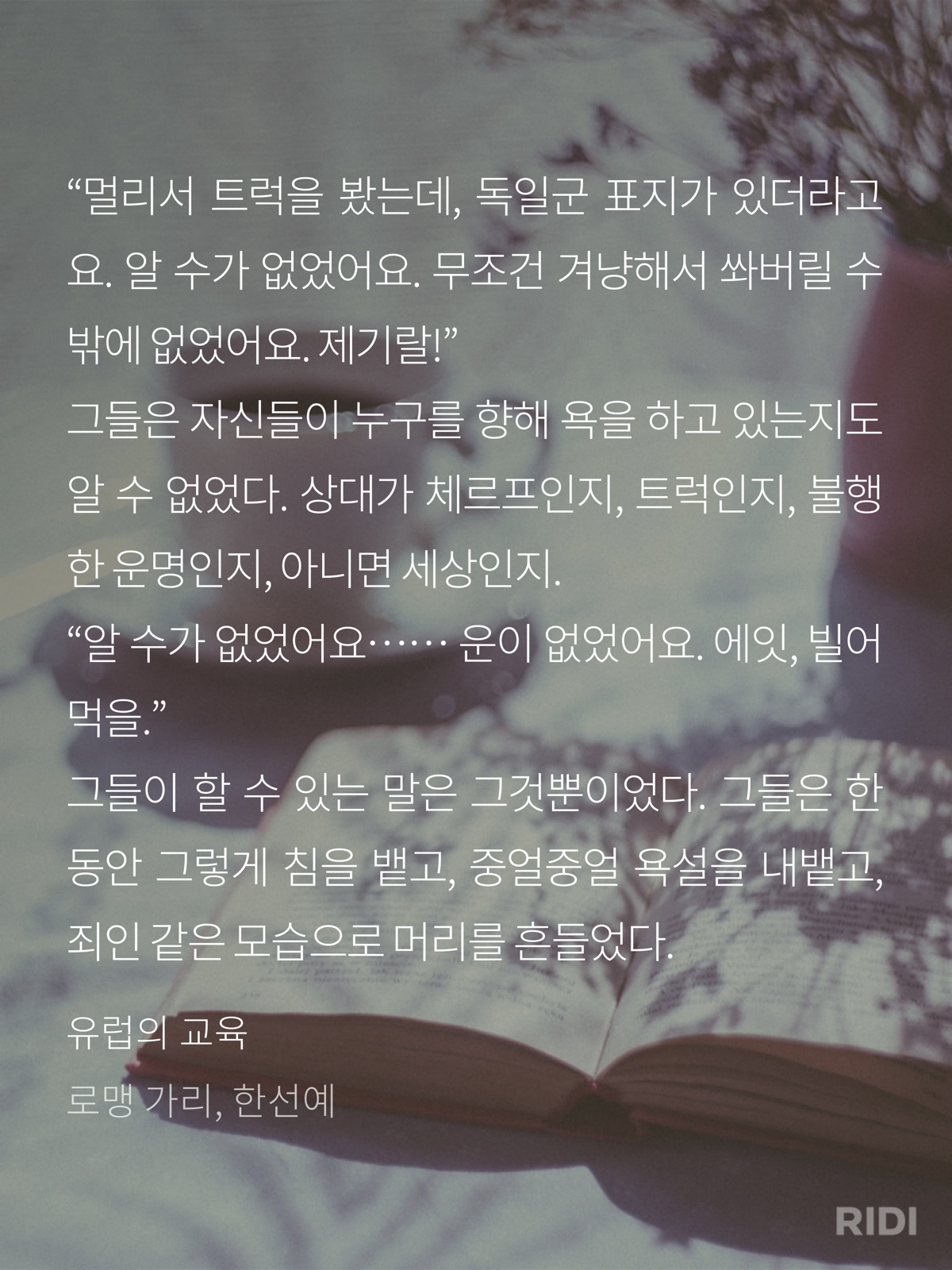 e11179ca31ccf.png