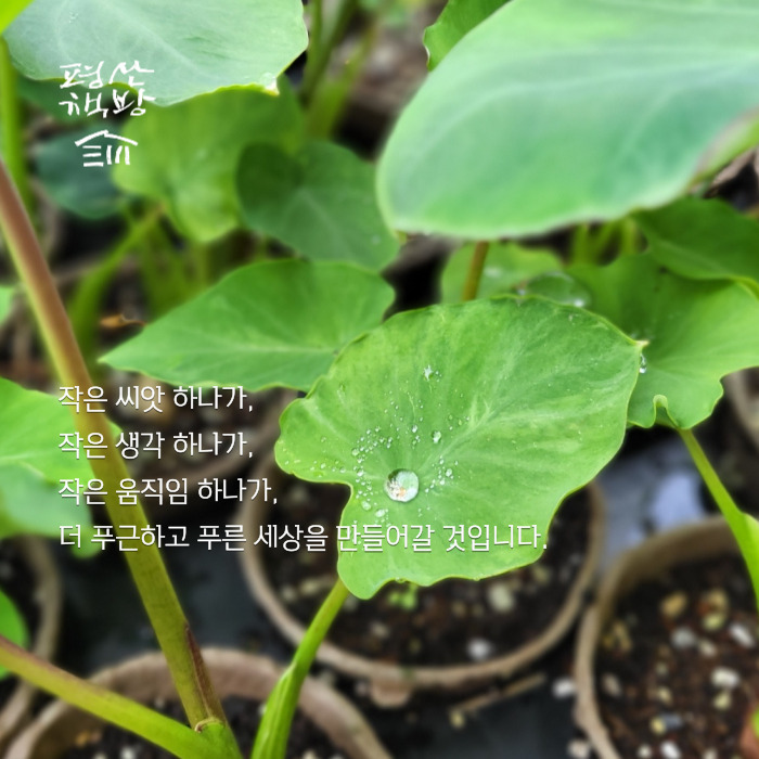 f5419b264ac56.png