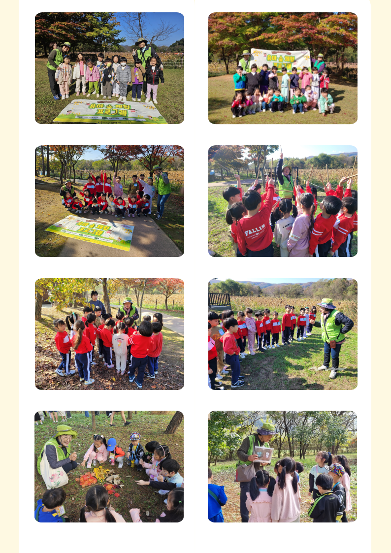 d41889f894845.png