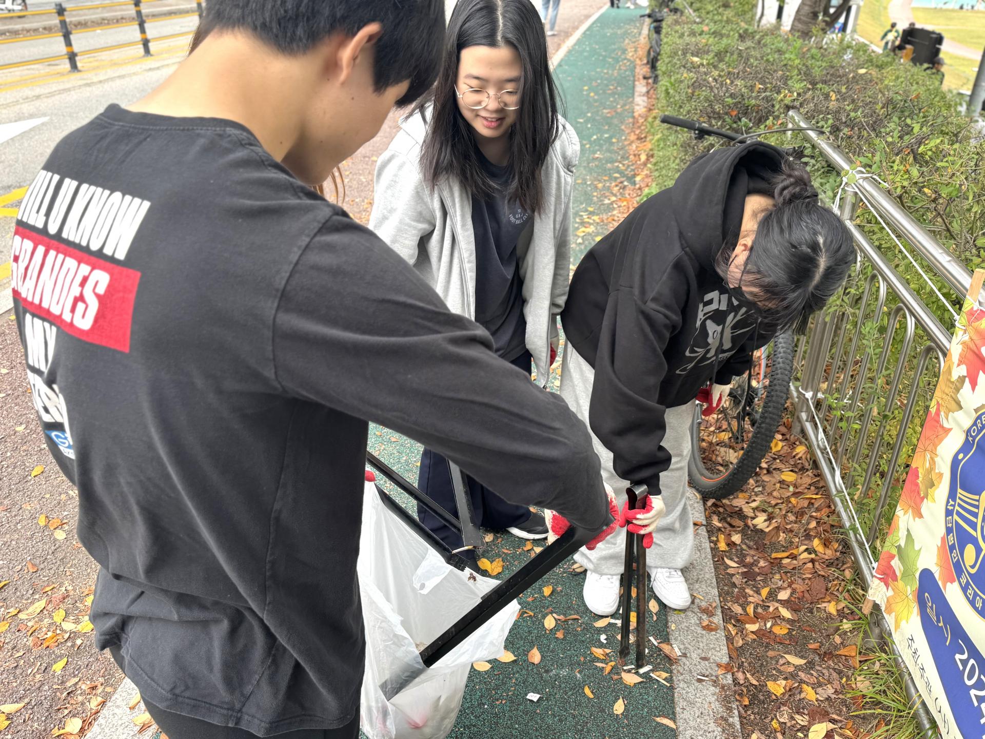 d7d2221c45a78.jpg