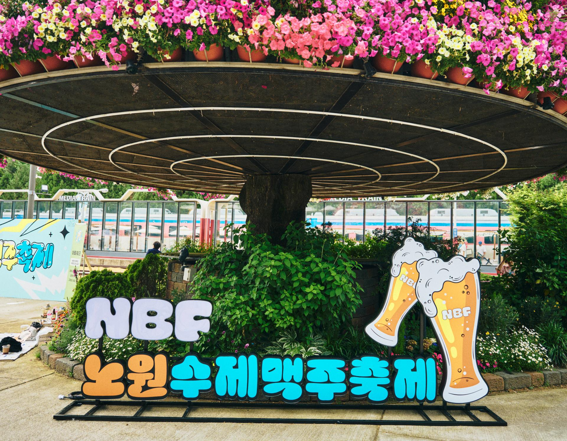e8db2db376318.png