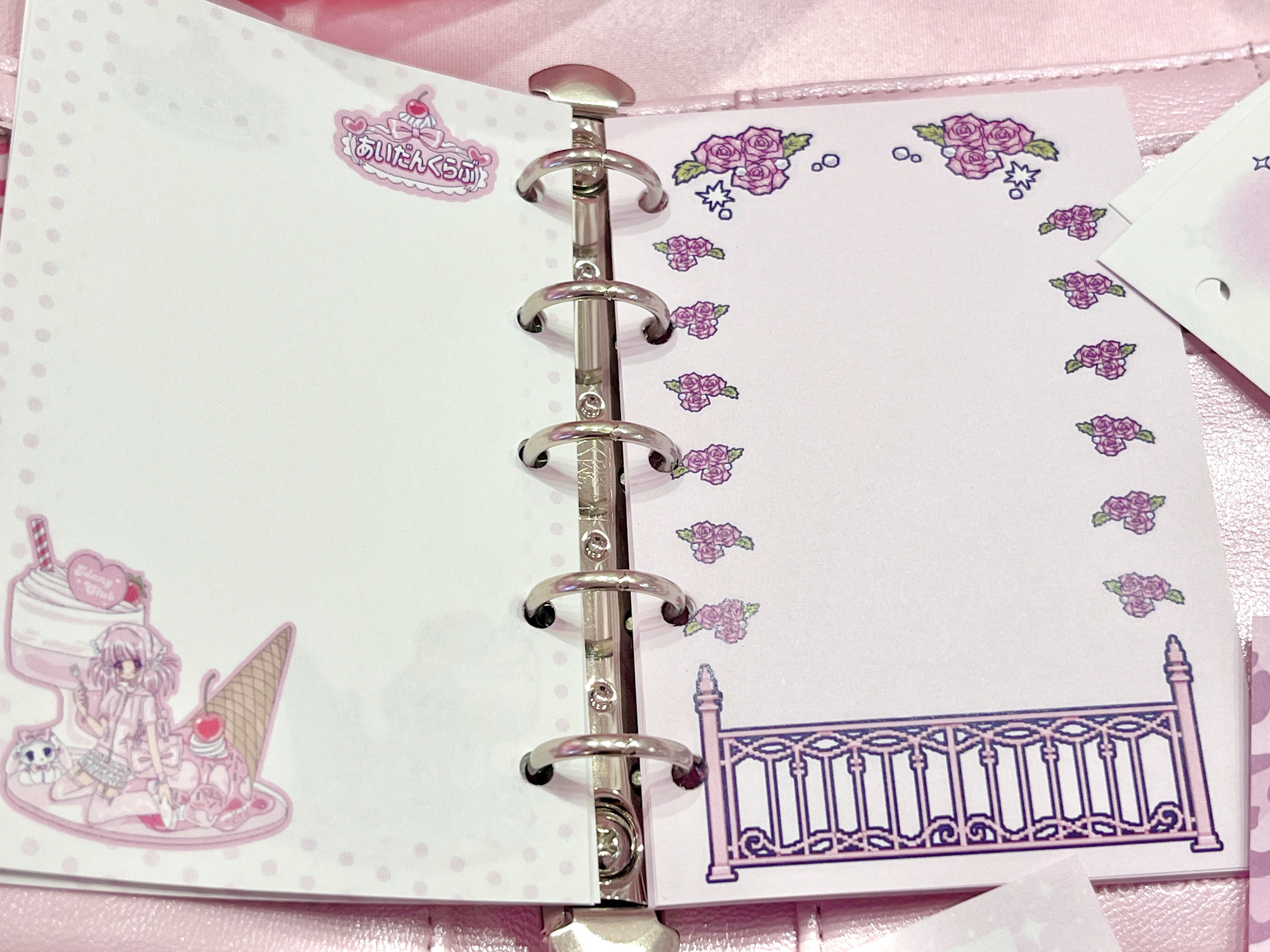 idang gals diary paper