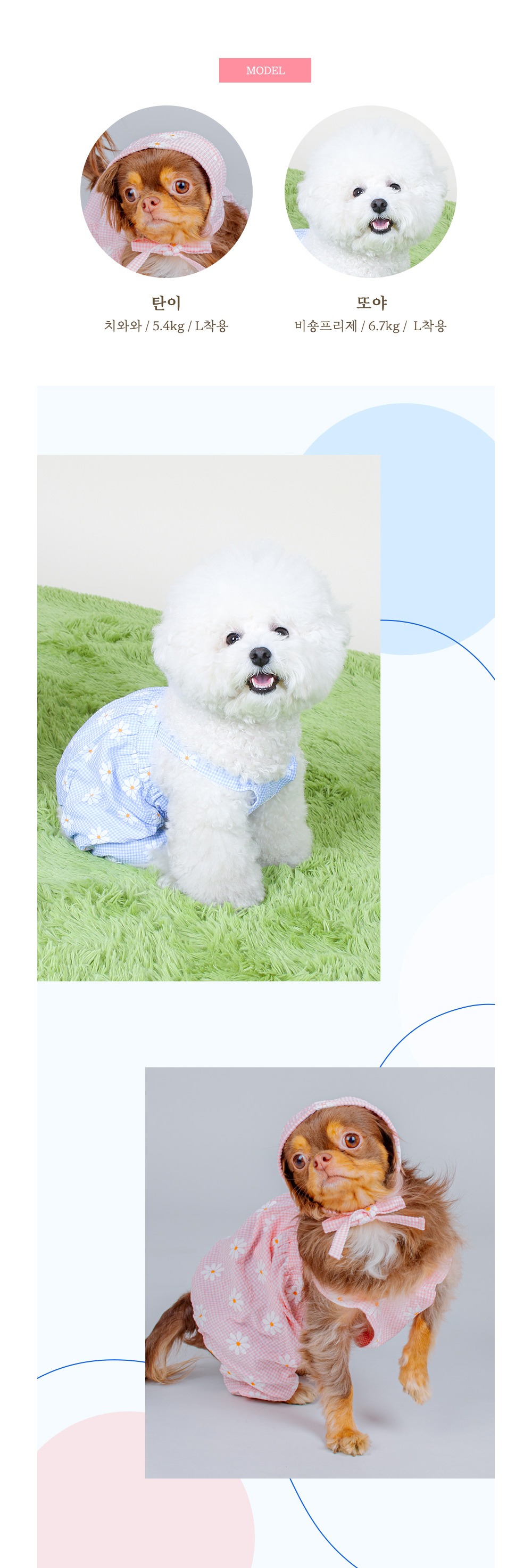 악세사리 상품 이미지-S13L2