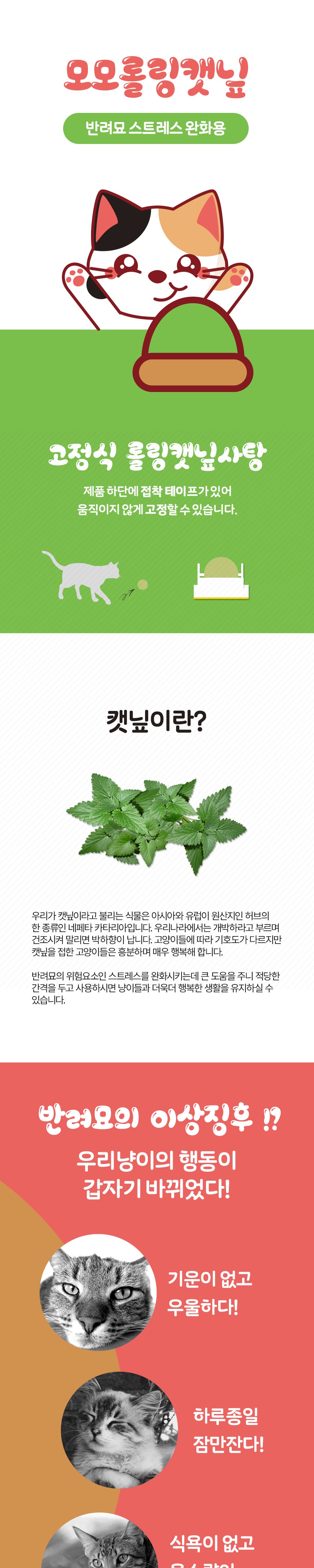 악세사리 모델 착용 이미지-S4L1