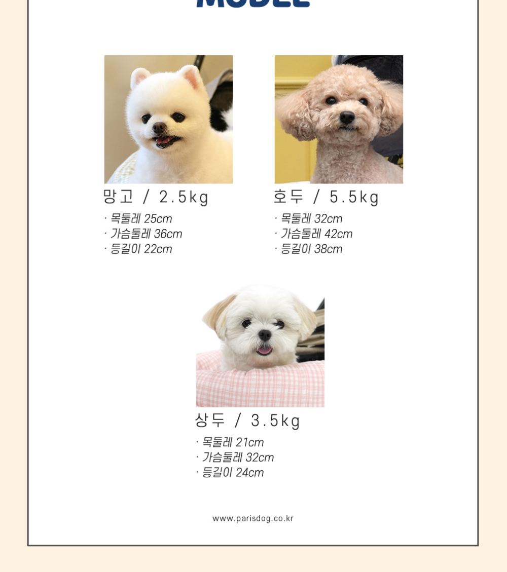 점퍼 라벤더 색상 이미지-S2L1