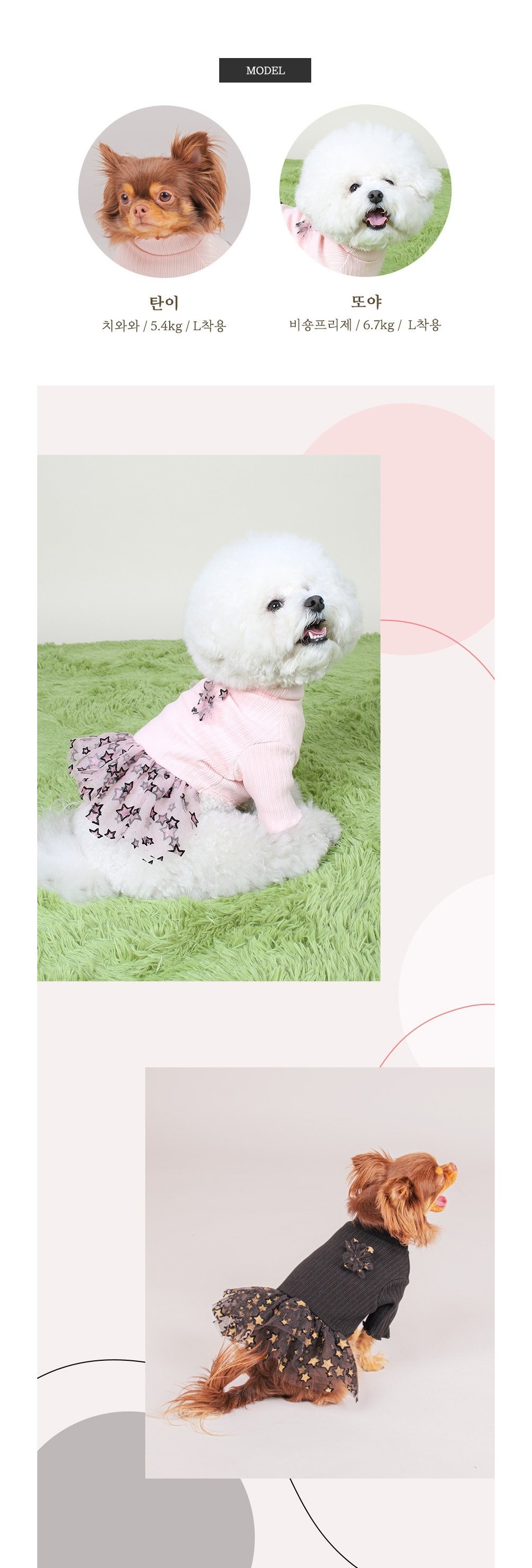 악세사리 상품 이미지-S12L2