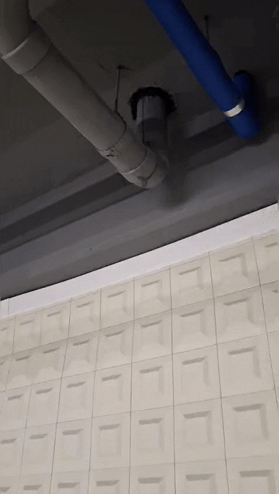 01cfea07aa7ba.gif