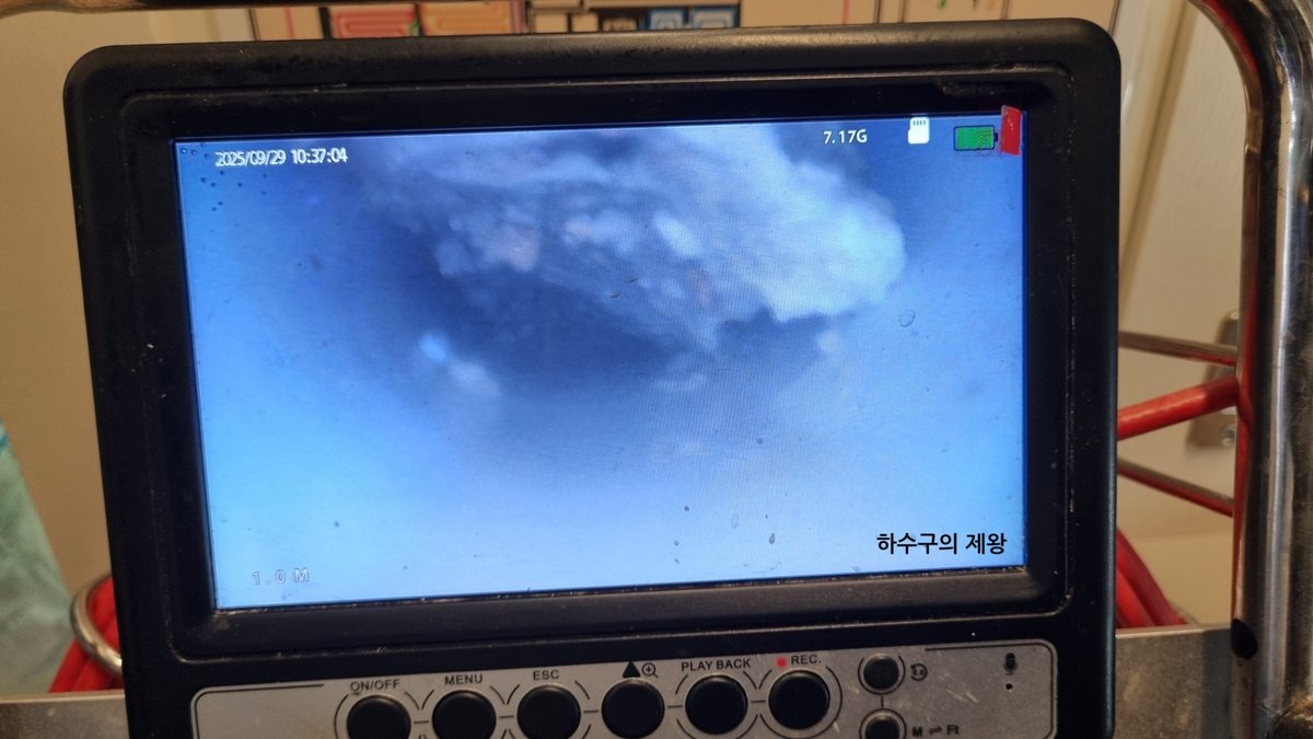 ์ฉ์ธ ๋ฐฐ๊ด ๊ธฐ๋ฆ ๋ฉ์ด๋ฆฌ ์ฒญ์ ์ฌ๋ก