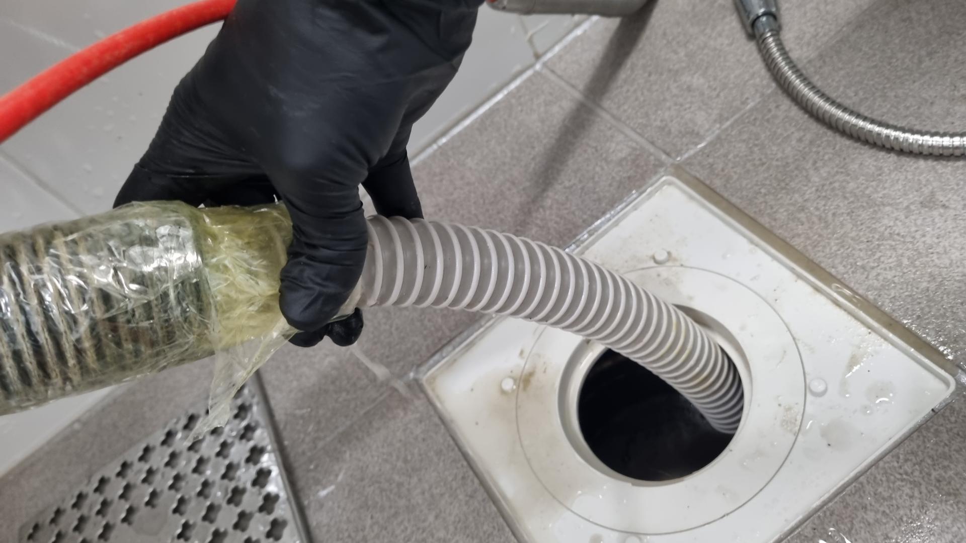 "์์์ ๋์๊ตฌ ํ์๊ตฌ ์ฒญ์ ๋ฐ ๋ฐฐ์๊ตฌ ์ํ ์ ๊ฑฐ ๊ณผ์ "