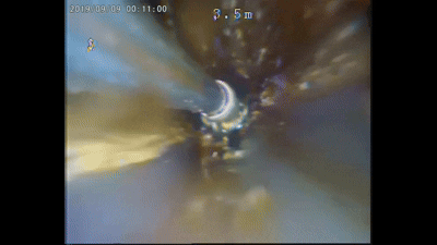 321dde589a9b0.gif
