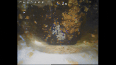 4c5ff87c052c7.gif