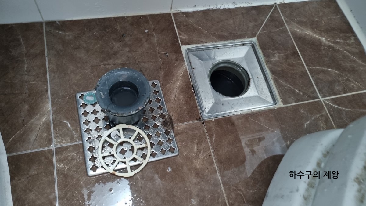 ํํ ํ์ฅ์ค ๋ฐ๋ฅ ์ ๊ฐ ์ ๊ฒ ๋ฐ ์ฒญ์