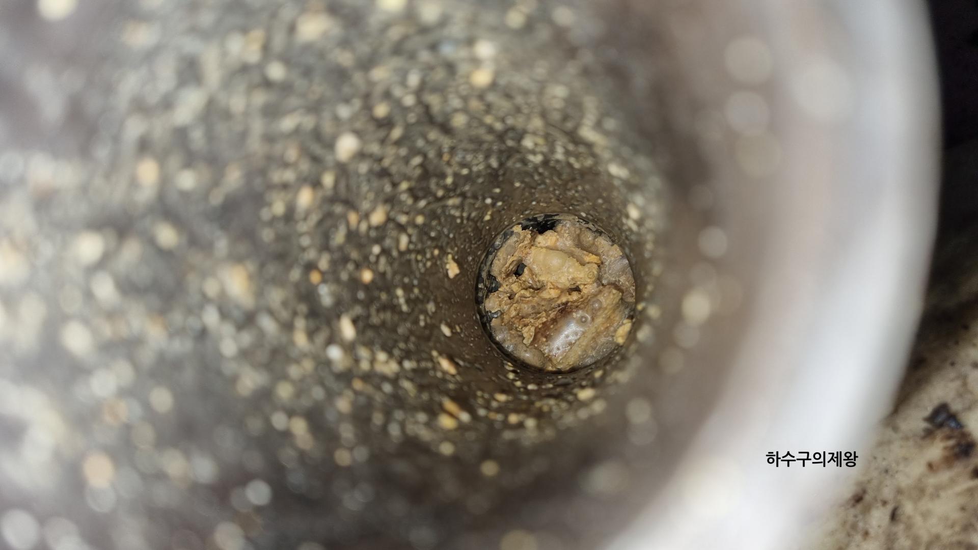 ์์์ ๋ด์๋ ํ์๊ตฌ ๋งํ ๋ฐฐ๊ด ๋ด๋ถ ๋ชจ์ต