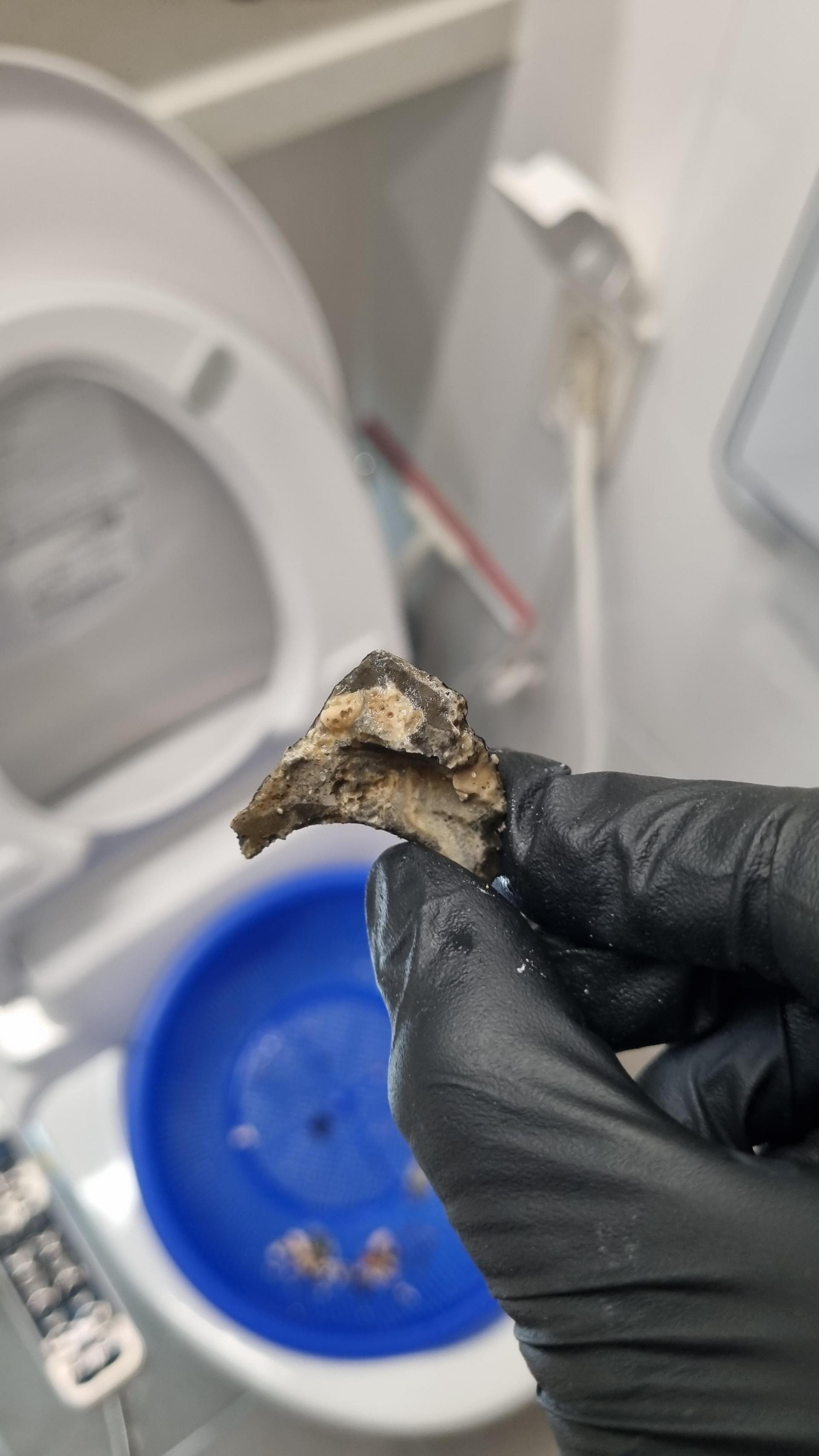 "์์ ๋์๊ตฌ ์ํํธ ํ์ฅ์ค ๋ฐฐ์๊ตฌ ์ฒญ์ ๋ฐ ๋ซ๋ ์์
"