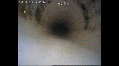 664dd915feb2d.gif