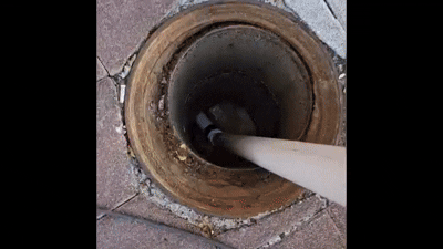 6c9f5b9a77e51.gif
