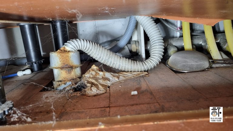 성북구 하수구 배관 막힘으로 인한 청소 전 상태