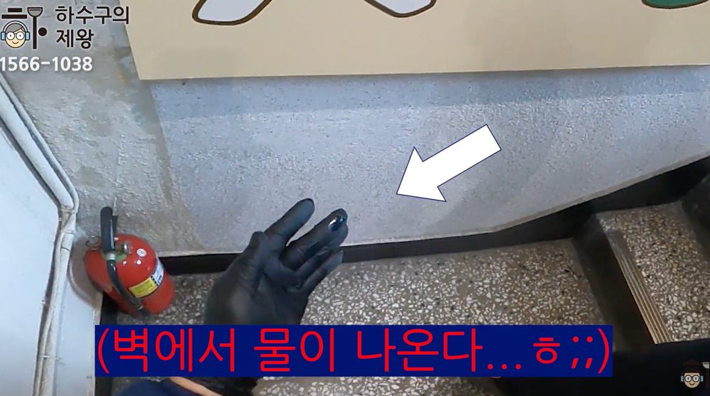 인천 서구 가정동 동물카페 하수구 역류로 벽면에서 물이 나오는 증상