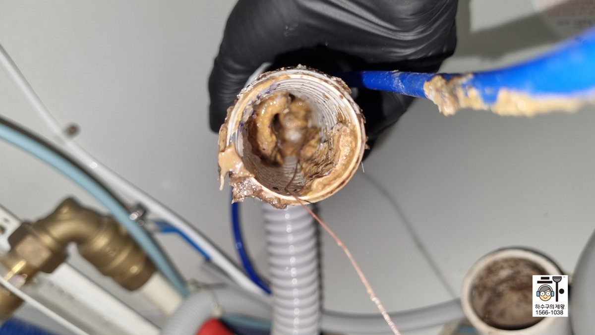 ๊ณ ์์ ์ํฅ์ญ ์ฑํฌ๋ ์ฃผ๋ฆ๊ด ๋ด๋ถ์ ์์๋ฌผ ์ฐ๊บผ๊ธฐ๊ฐ ๊ฐ๋ ๋ ๋งํ ํ์ฅ โ ํ์๊ตฌ์ฒญ์ ์ ๋ฌธ ํ์๊ตฌ์ ์ ์