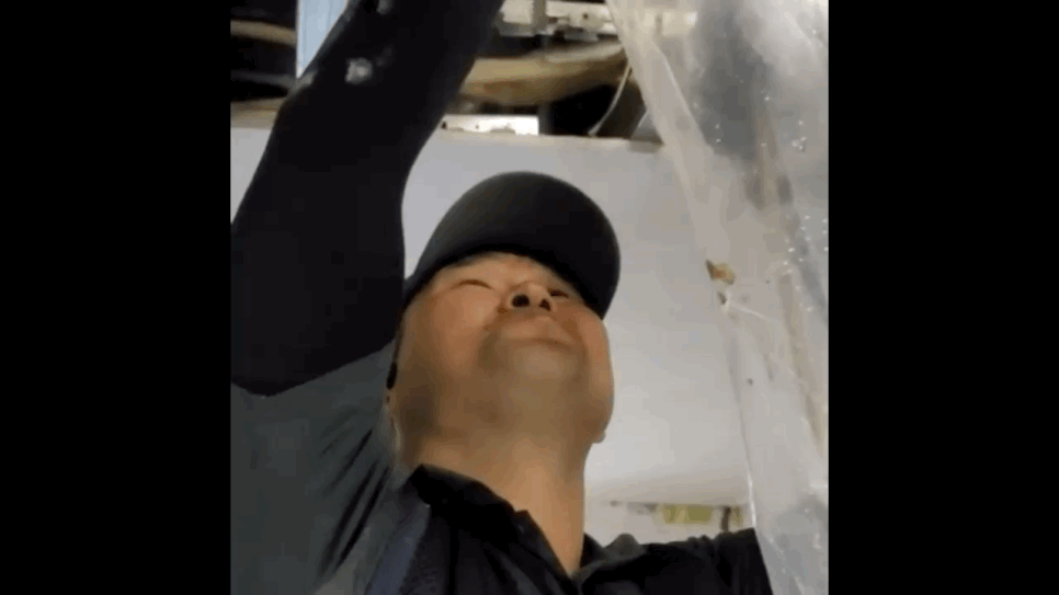 8e724ee39eb99.gif