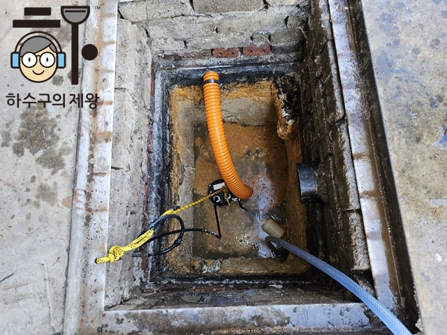 8ff08bbac550f.jpg