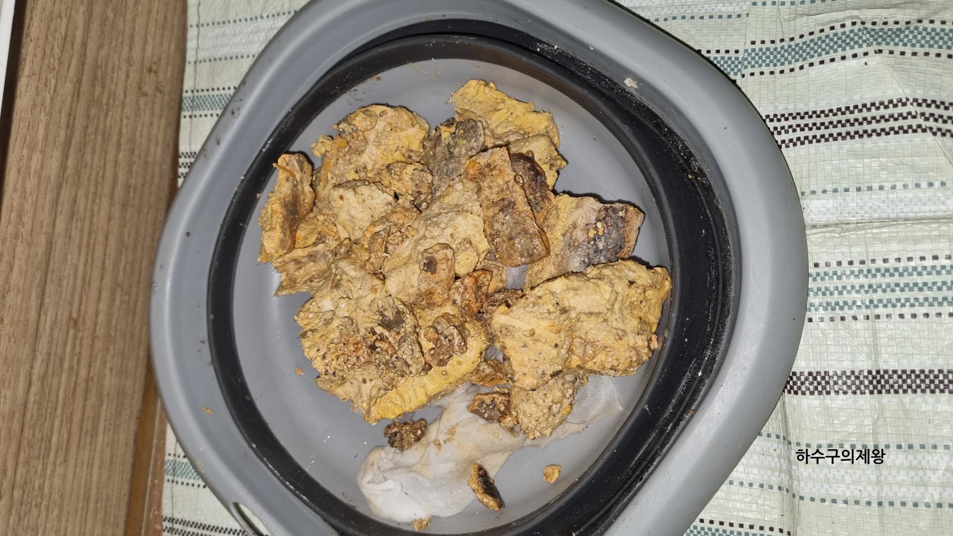 ์์์ ๋ด์๋ ํ์๊ตฌ ๋ด๋ถ ๋งํ ์์ธ